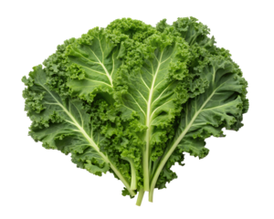 Fresh Curly Kale on White Background for Healthy, Vibrant Eating