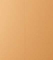 Fototapeta premium Rough, corrugated brown cardboard surface, showing fiber texture, close-up, aged