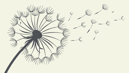 Fototapeta premium vector dandelion background