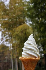 Soft serve ice cream and bamboo forest garden in Kurashiki, Japan