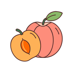 Illustration of fresh peach fruit with leaf and half peach slice vector design drawing