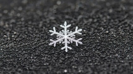 A single snowflake with intricate patterns and sharp edges rests on a dark, textured surface.