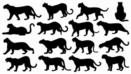 set of  jaguar silhouette vector