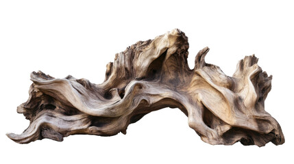 Fototapeta premium Gnarled Wood: An intricate and aged piece of driftwood, its weathered texture and unique form reflecting the passage of time and the enduring beauty of nature. 