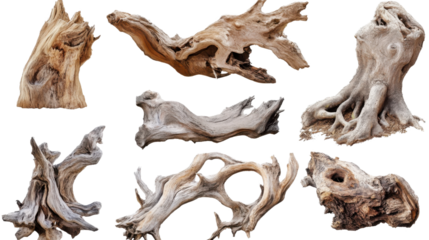 Raw Elements: A collage of weathered driftwood pieces, each bearing unique textures and shapes, arranged against a pristine backdrop.