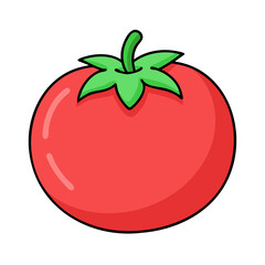 Isolated tomato illustration: fresh garden tomato, red tomato, healthy tomato, vegetable tomato