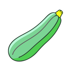 Fresh green zucchini vegetable illustration for healthy eating and cooking recipes concept art