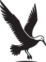 Fototapeta premium Albatross Silhouette Black Vector High Quality Vector Image. The white background