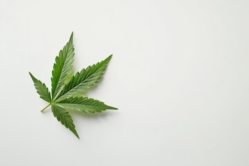 Single cannabis leaf on white background