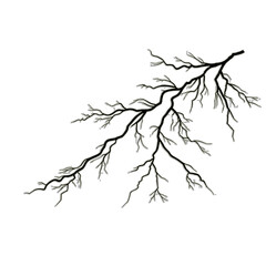 A delicate, branching line art illustration of a lightning bolt, angled diagonally, depicted in thin black lines