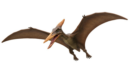 Fototapeta premium Pterosaur Flying Dinosaur with Wings & Long Beak