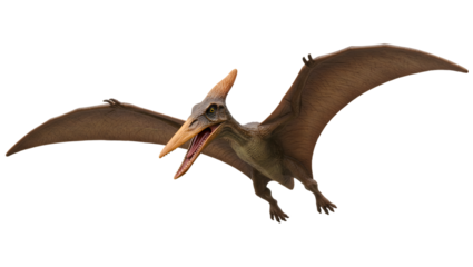 Pterosaur Flying Dinosaur with Wings & Long Beak