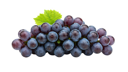 Fototapeta premium Fresh Bunch of Dark Purple Grapes with Green Leaf