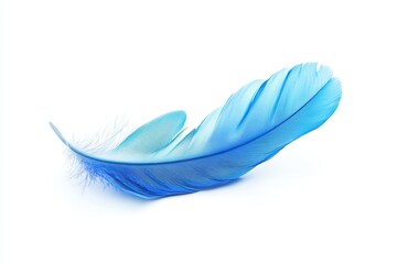 Obraz premium Light Blue Feather