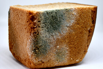 Moldy rye bread in close-up on a light background. Bread, unsuitable for food. Mold due to improper storage of the product. Mold stains on bread. Selective focus.