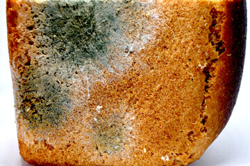 Moldy rye bread in close-up on a light background. Bread, unsuitable for food. Mold due to improper storage of the product. Mold stains on bread. Selective focus.