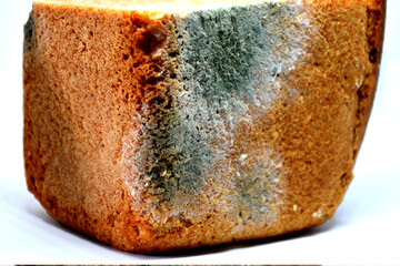 Moldy rye bread in close-up on a light background. Bread, unsuitable for food. Mold due to improper storage of the product. Mold stains on bread. Selective focus.