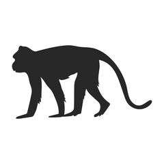 Realistic Monkey Silhouette, vector art.
