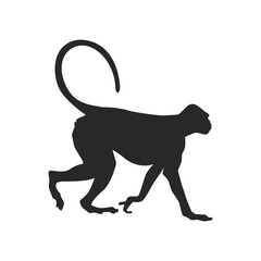Realistic Monkey Silhouette, vector art.