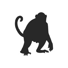 Realistic Monkey Silhouette, vector art.