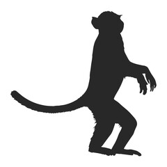 Realistic Monkey Silhouette, vector art.