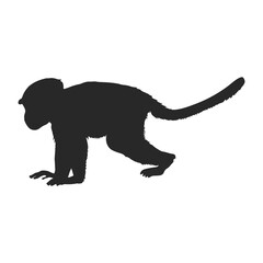 Realistic Monkey Silhouette, vector art.