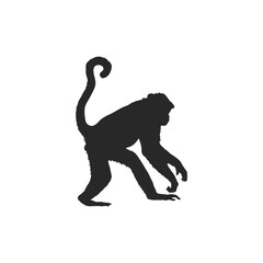 Realistic Monkey Silhouette, vector art.