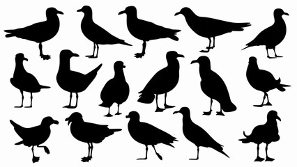set of seagulls silhouette vector