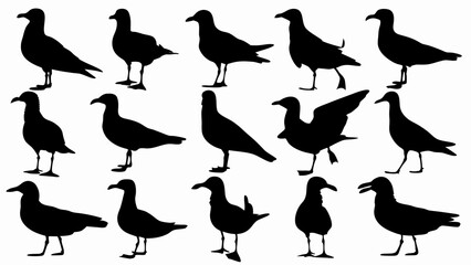 set of seagulls silhouette vector