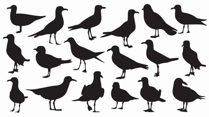 set of seagulls silhouette vector
