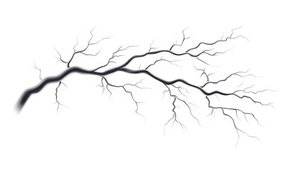 Fototapeta premium Lightning branch vector image