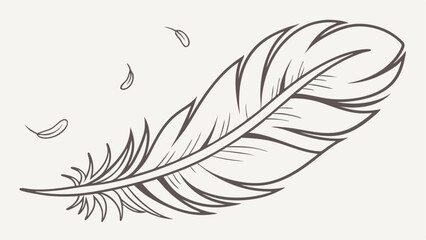 Obraz premium feather on white background