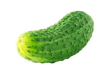 One cucumber isolated on white background