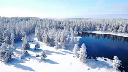Aerial View of a Frozen Lake Surrounded by Snow-Covered Pine Forest in Winter Wonderland