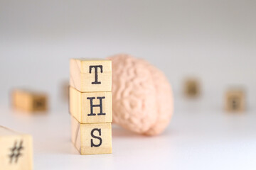 Therapeutic Health Services acronym. word ths written on wooden cubes isolated on white background with a brain. Concept of mental therapy.
