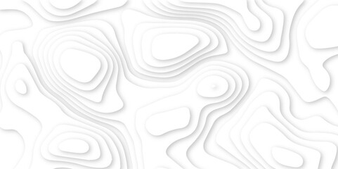 abstract layered pattern with smooth white contours. clean papercut topographic design with flowing lines.

