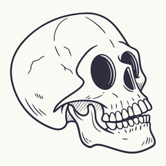 Obraz premium A whimsical skull, sketched in a charmingly simplistic style with dark lines against a clean white backdrop.