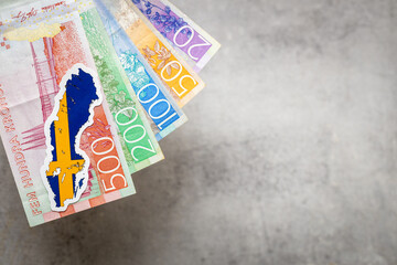 Sweden  money and national emblem, Gray background, copy space, flat lay, Financial background, swedish kroner banknotes, close up