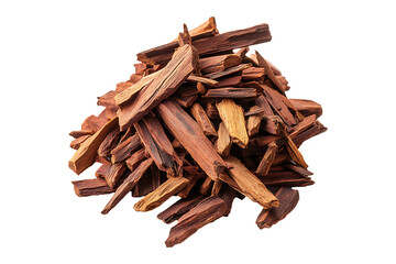 Sandalwood Santalum album Ayurveda her isolated on transparent background
