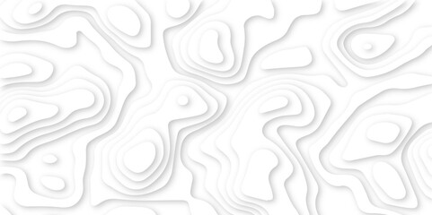 smooth contour cuts creating a soft visual rhythm. clean 3d topography effect with smooth white tones. flowing abstract layers with a paper-cut finish.