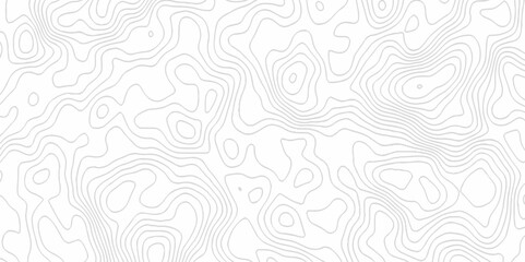 White topography topology vector white background fresh contour map texture. white seamless pattern Abstract background with a wave Topography and geography map grid abstract backdrop.