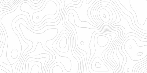 White topography topology vector white background fresh contour map texture. white seamless pattern Abstract background with a wave Topography and geography map grid abstract backdrop.