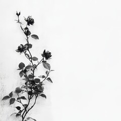 Simple Rose Vine Against a Light Wall