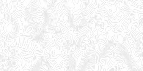 White topography topology vector white background fresh contour map texture. white seamless pattern Abstract background with a wave Topography and geography map grid abstract backdrop.