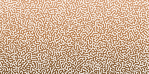 binary code background, Turing background design. Monochrome Turing reaction abstract Linear Design Showcasing Turing Reaction Diffusion Patterns and Organic Shapes line art endless wallpaper.	