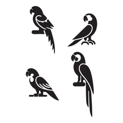 birds on a branch
