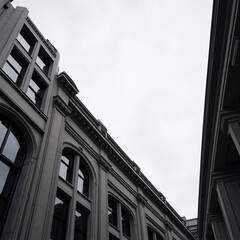 Architectural symmetry and perspective showcase tall buildings against a cloudy, neutral sky.
