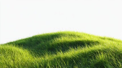 Sunny grassy hill, windswept meadow, bright sky, nature scene, website design