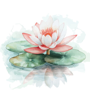 watercolor lotus flower floating on water clip art preview