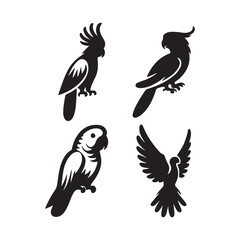 set of vector birds